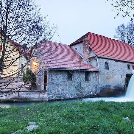 Guest house Moara De Piatra