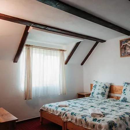 Moara De Piatra Guest house Carta (Sibiu)
