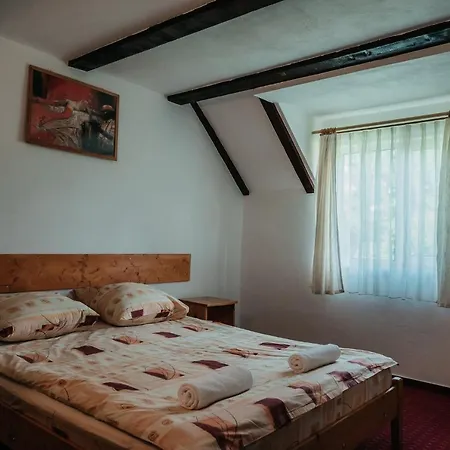 Gasthof Moara De Piatra